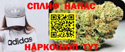 ALPHA-PVP Новозыбков