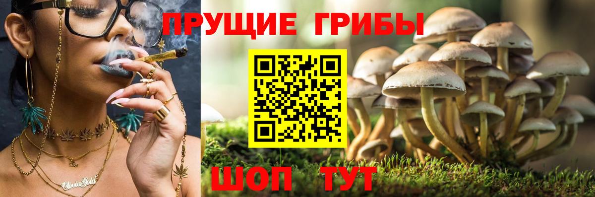 Галлюциногенные грибы Magic Shrooms  где купить наркоту  Дюртюли  Вход с VPN 